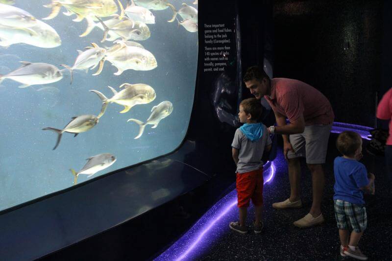 Stilettos and Diapers: Georgia Aquarium with kids