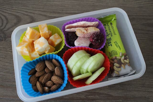 Easy School Lunch, Picnic lunch