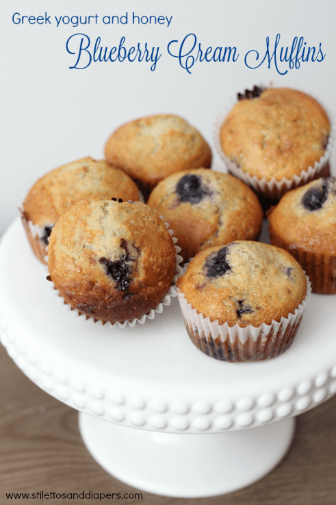The perfect blueberry muffin recipe, made with greek yogurt and honey. A family favorite!