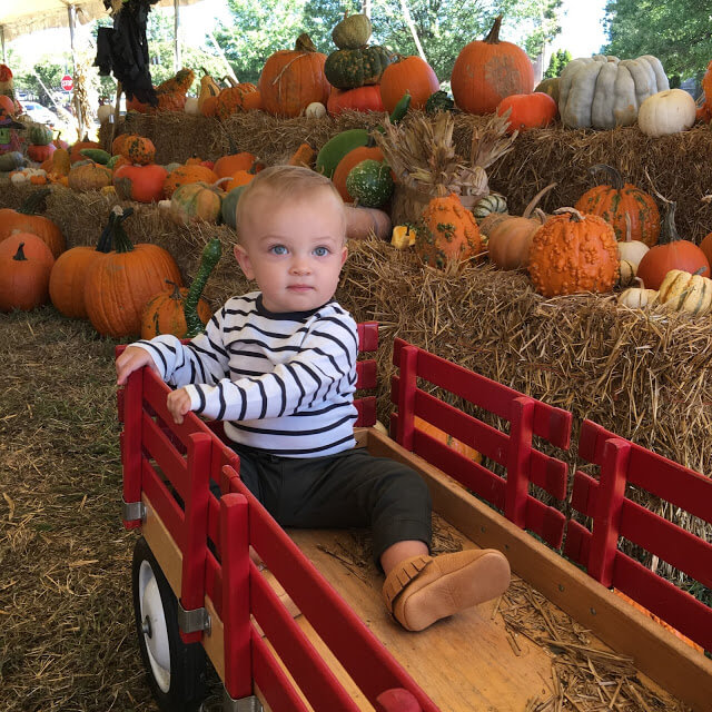 Stilettos and Diapers Pumpkin Patch