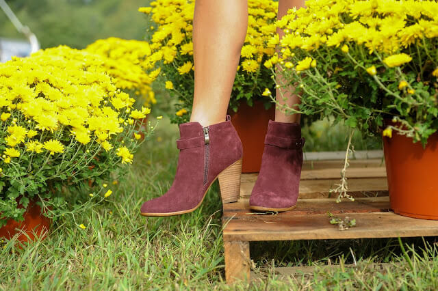 Rack Room Shoes burgundy booties