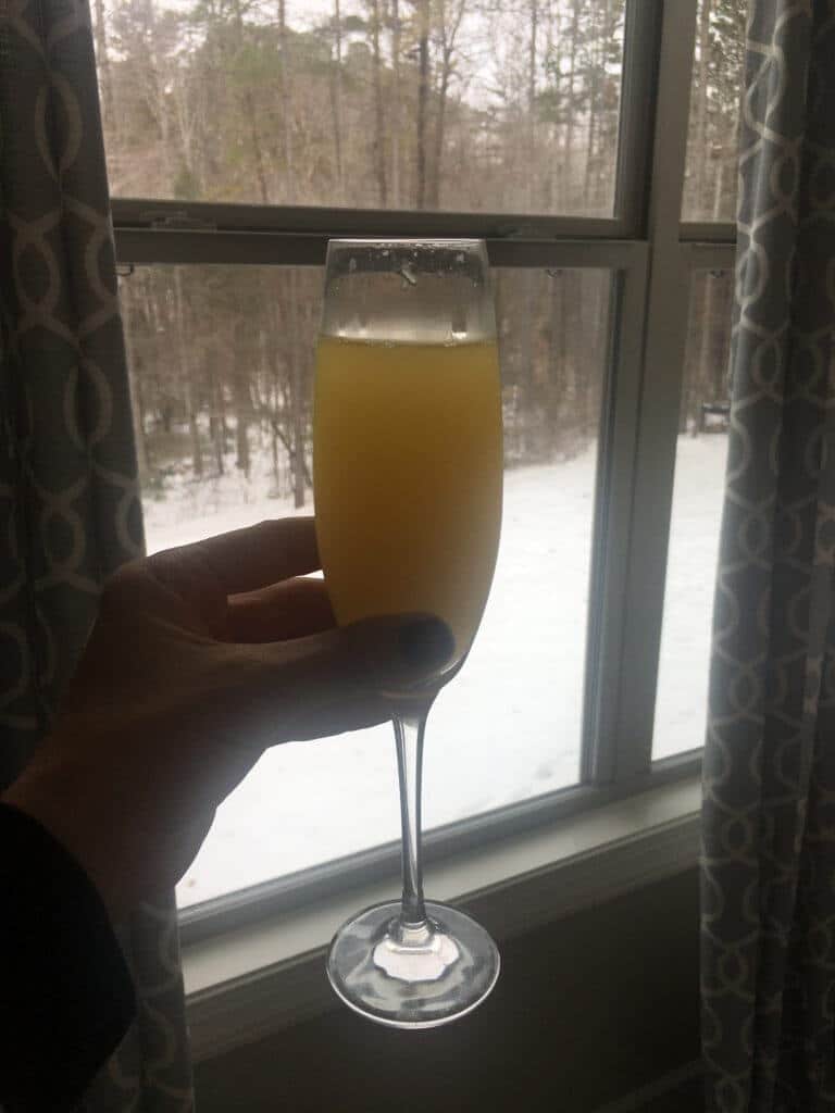 Mimosa Snow Day