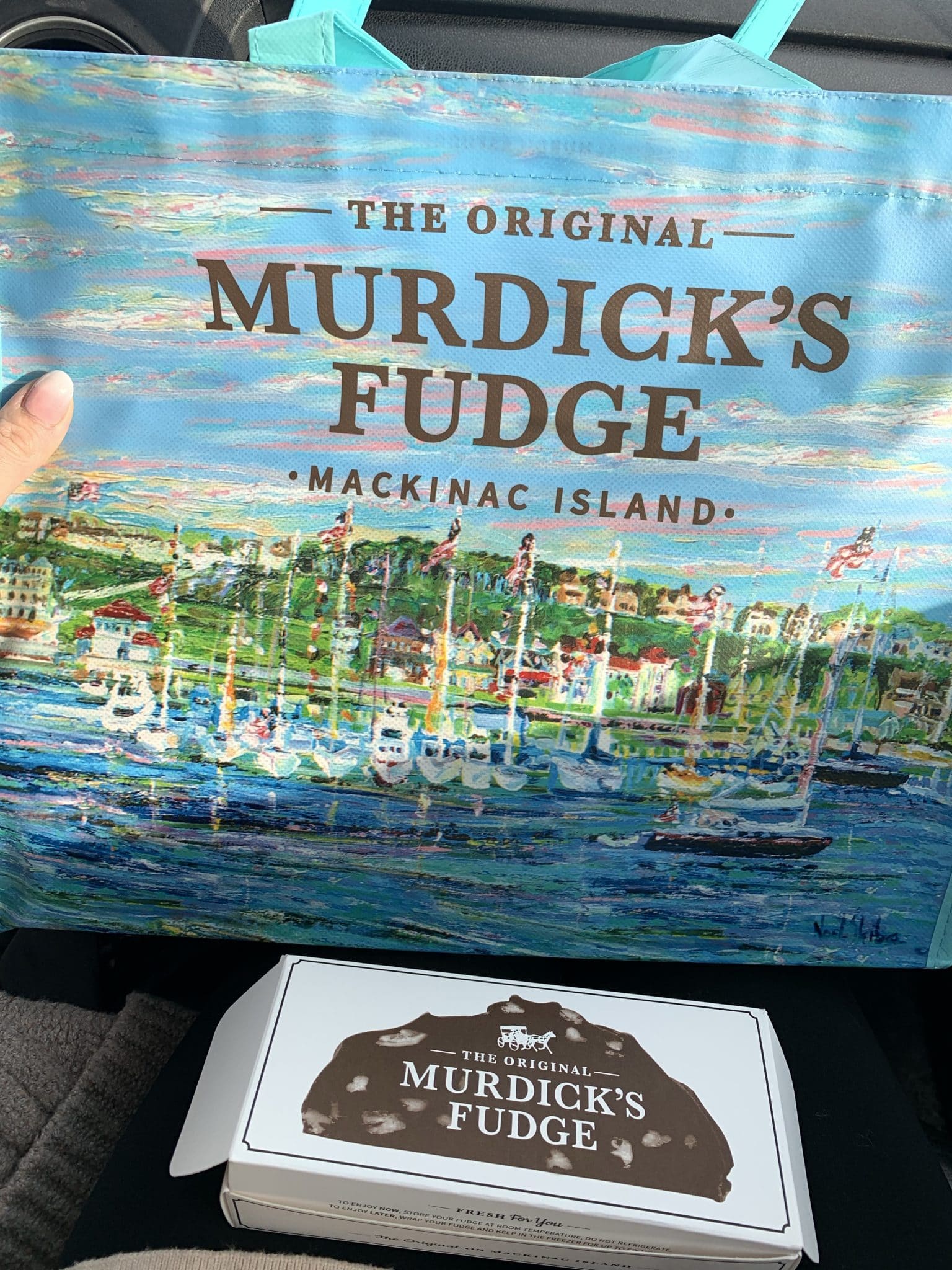 Murdick's Fudge, Mackinaw Bridge, Lake Michigan, Lake Huron, Petoskey, UP Michigan Travel Guide, Winter Travel, Stilettos and Diapers