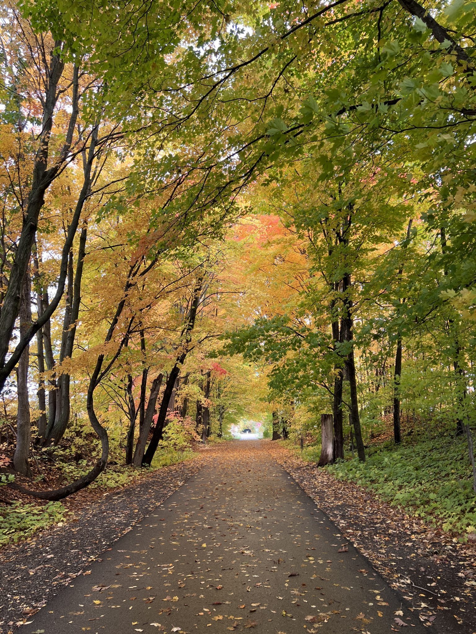 Fall in Michigan, Stilettos and Diapers