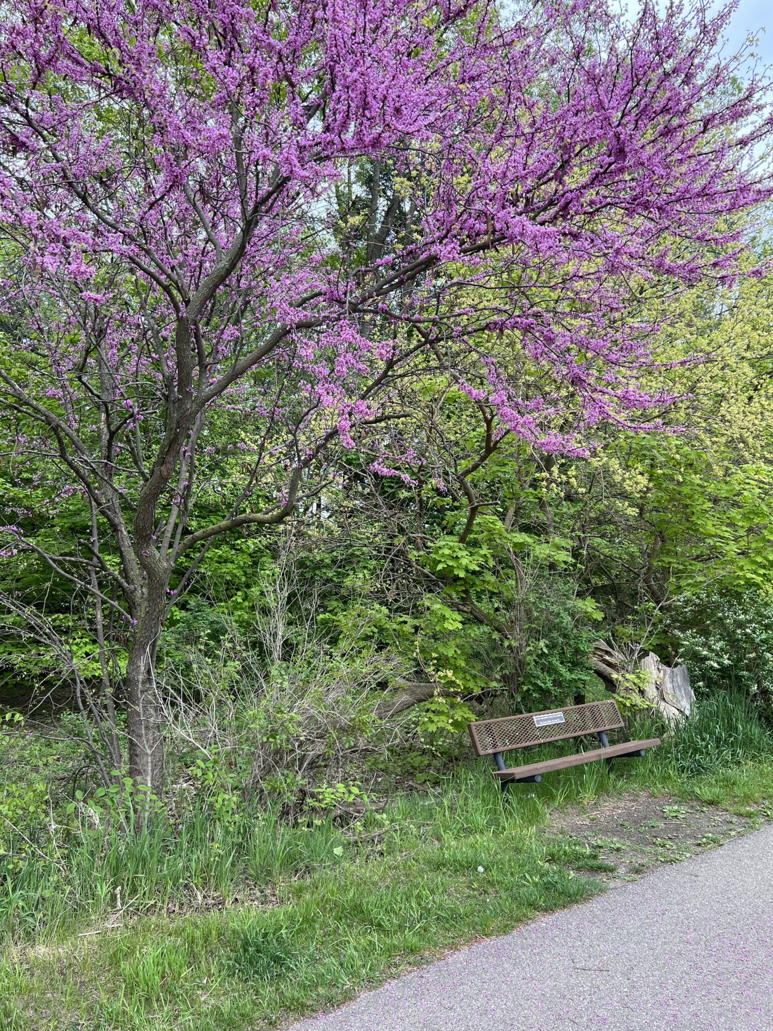 Kent Trails Grand Rapids, Michigan 