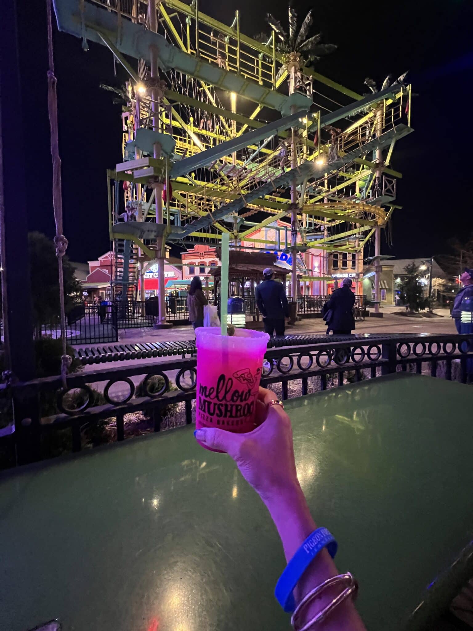 The Island Ropes Course, Pigeon Forge, TN, Stilettos and Diapers, Mellow Mushroom