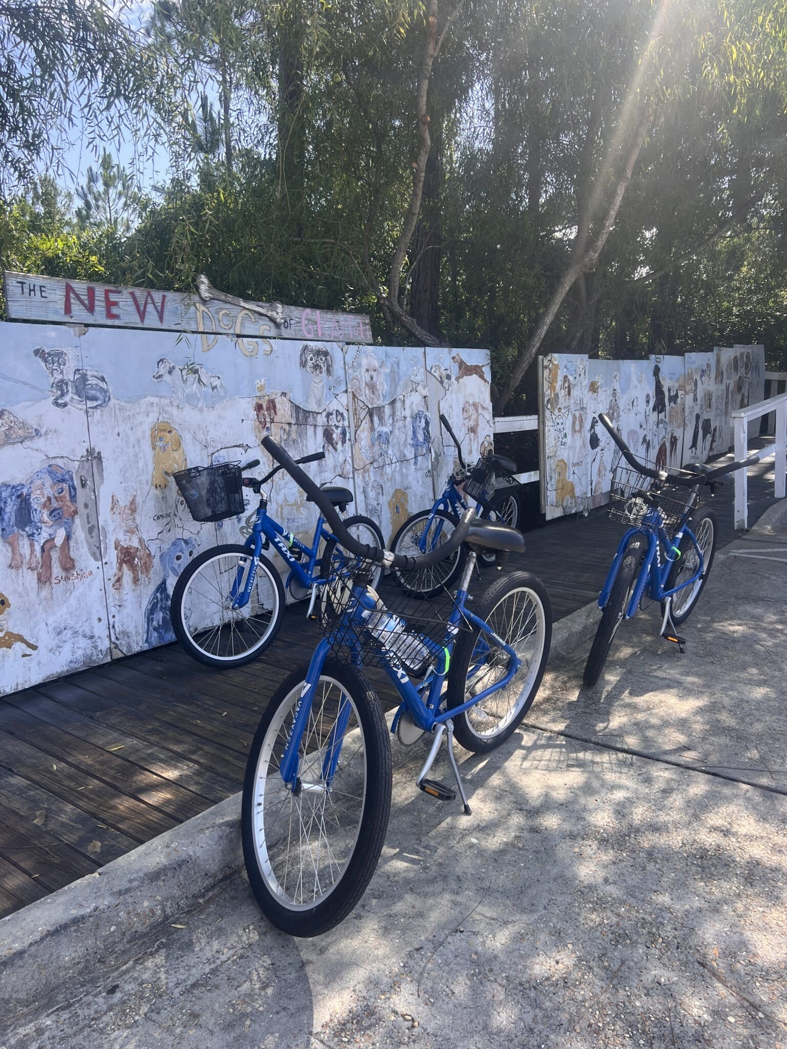 Black Bear Bread Co, best Coffee 30A, bike ride to Coffee